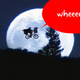 Illustration for article titled Google Earth Flying Bicycle Doesnt Include Basket, E.T.